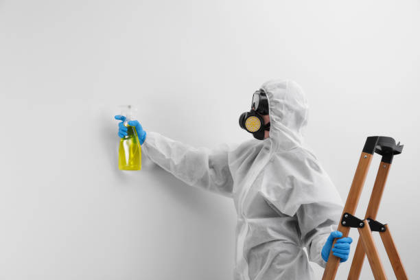 Best Asbestos and Lead Testing During Mold Inspection in USA